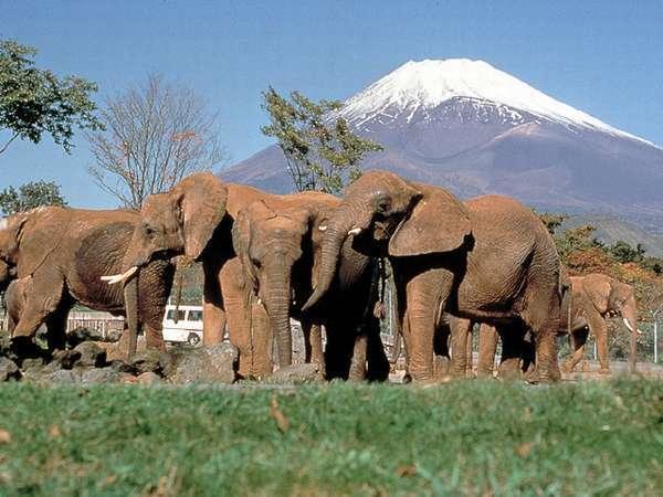 Business Hotel Kanekura Gotemba Eksteriør bilde